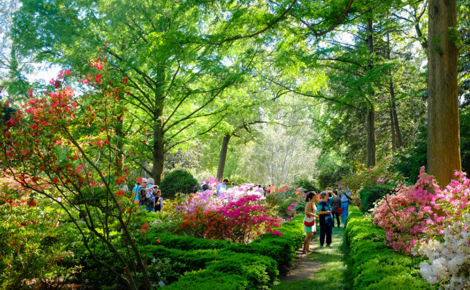 United States National Arboretum, United States